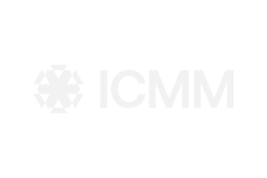 icmm